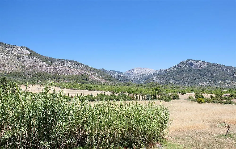 Finca Son Ametler Moscari